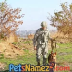 Awesome Military Dog Names