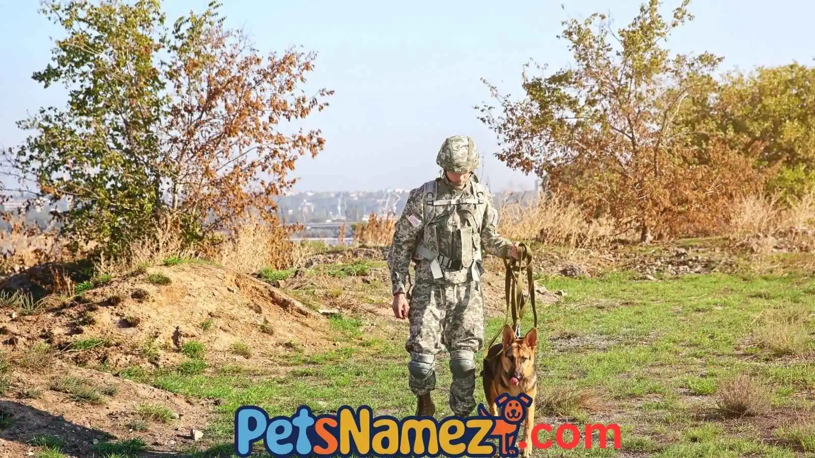 Awesome Military Dog Names