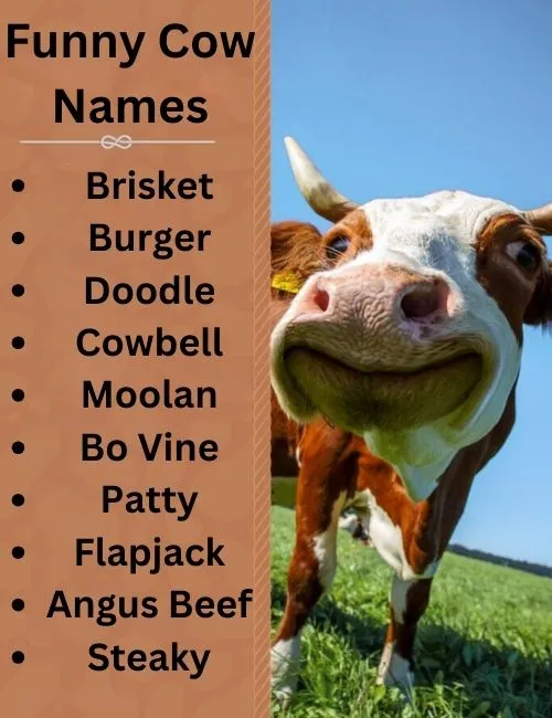 Cow Names with Generator