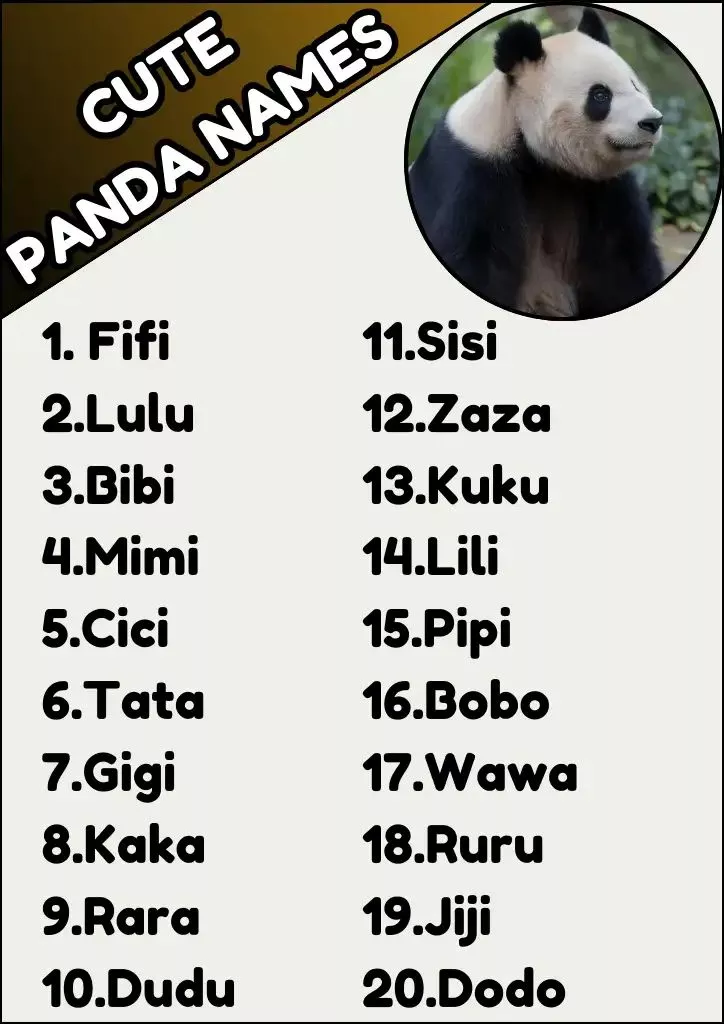 Cute Panda Names