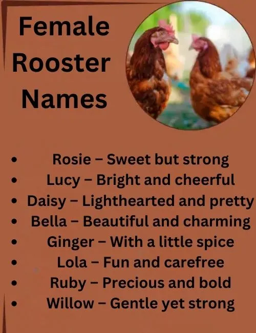 Names For Your Male Chicken