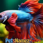 Pet Fish Names