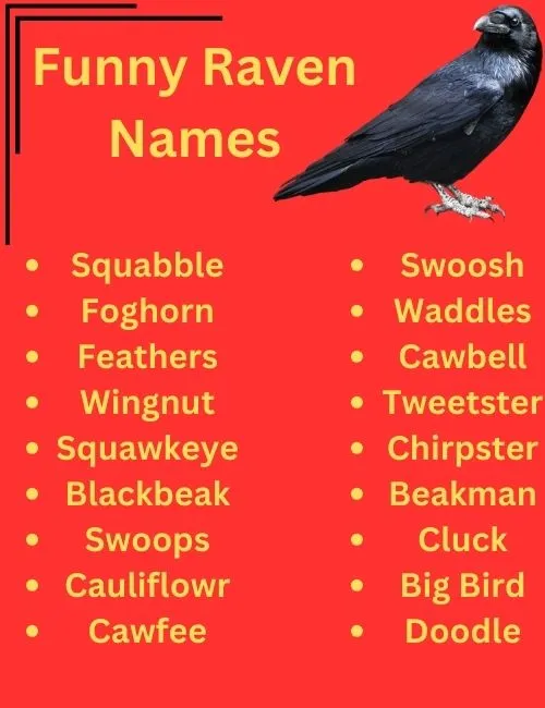  Raven Names With Name Generator