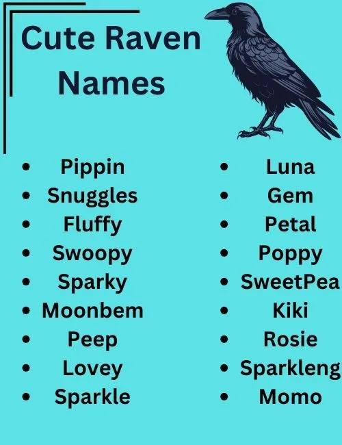  Raven Names With Name Generator