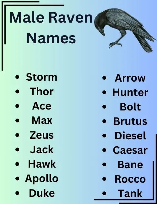  Raven Names With Name Generator