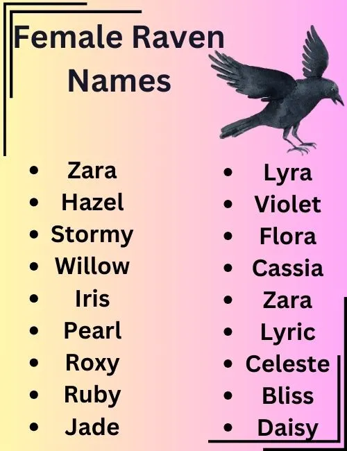  Raven Names With Name Generator