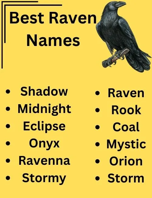  Raven Names With Name Generator