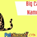 Big Cat Names