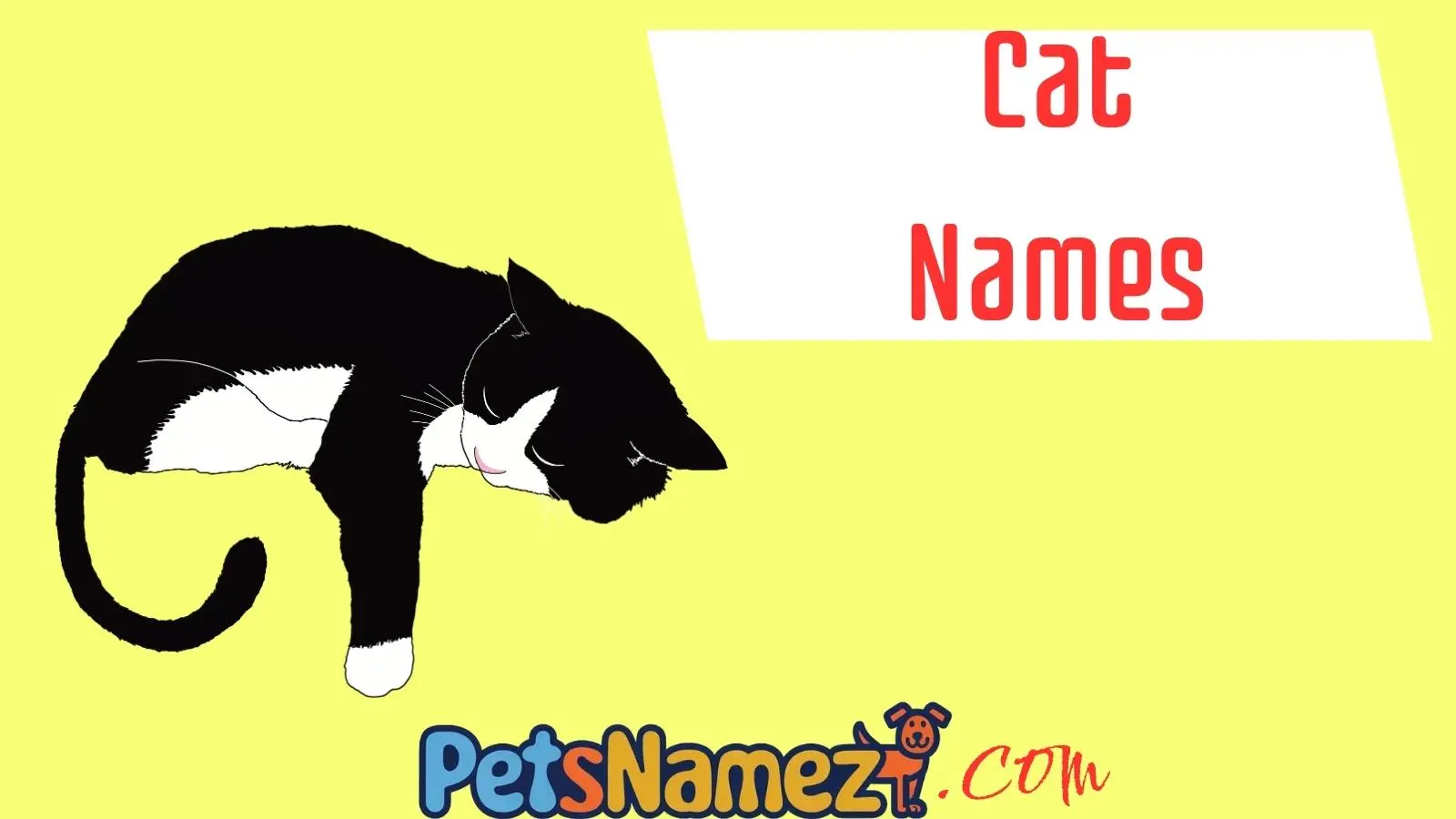 Cat Names
