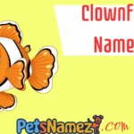 Clownfish Names