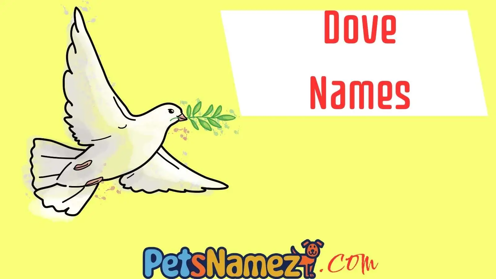 Dove Names