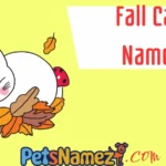 Fall Cat Names