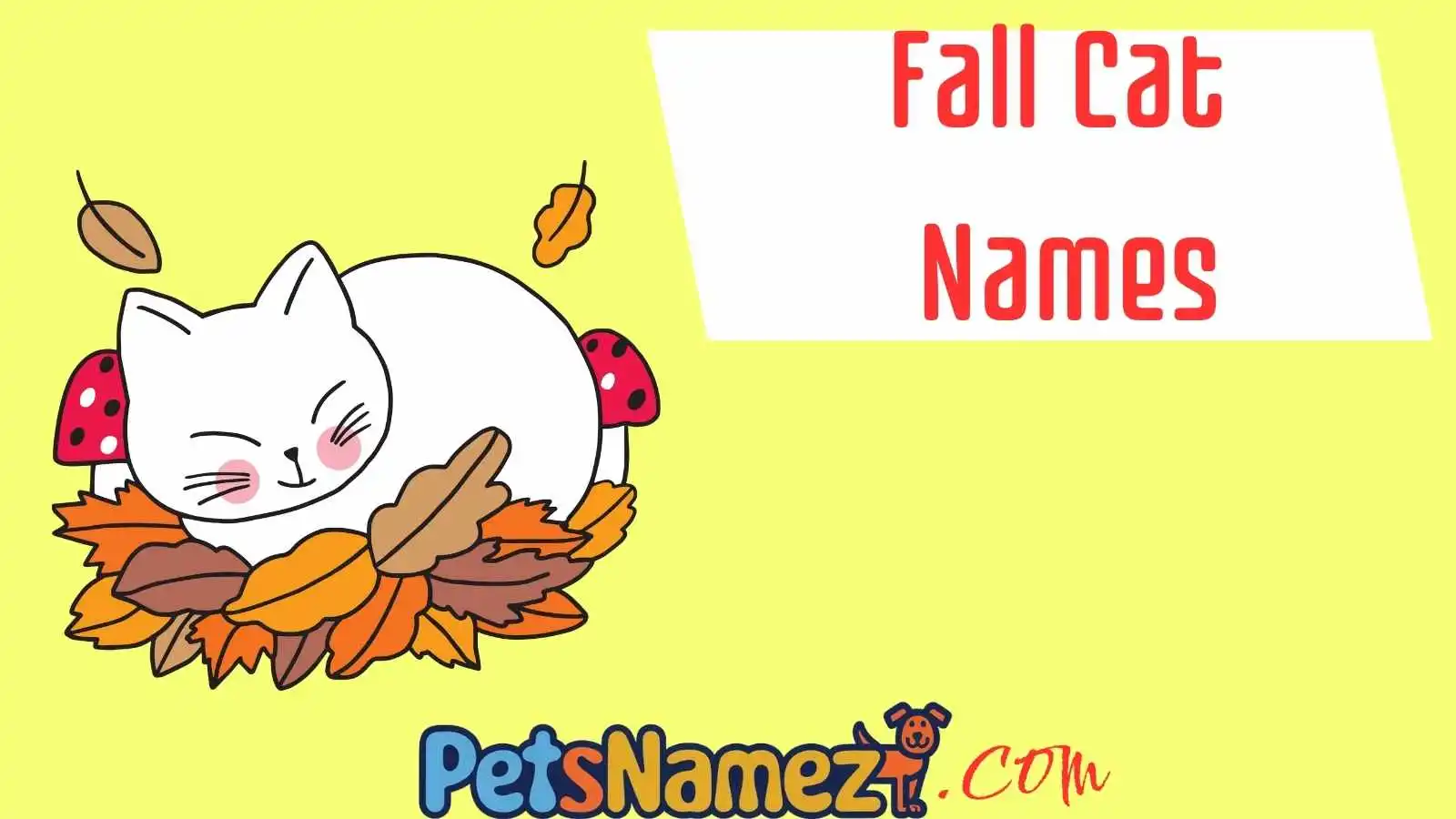 Fall Cat Names