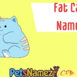 Fat Cat Names