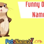 Funny Otter Names