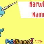 Narwhal Names