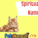 Spiritual Cat Names