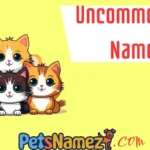 Uncommon Cat Names