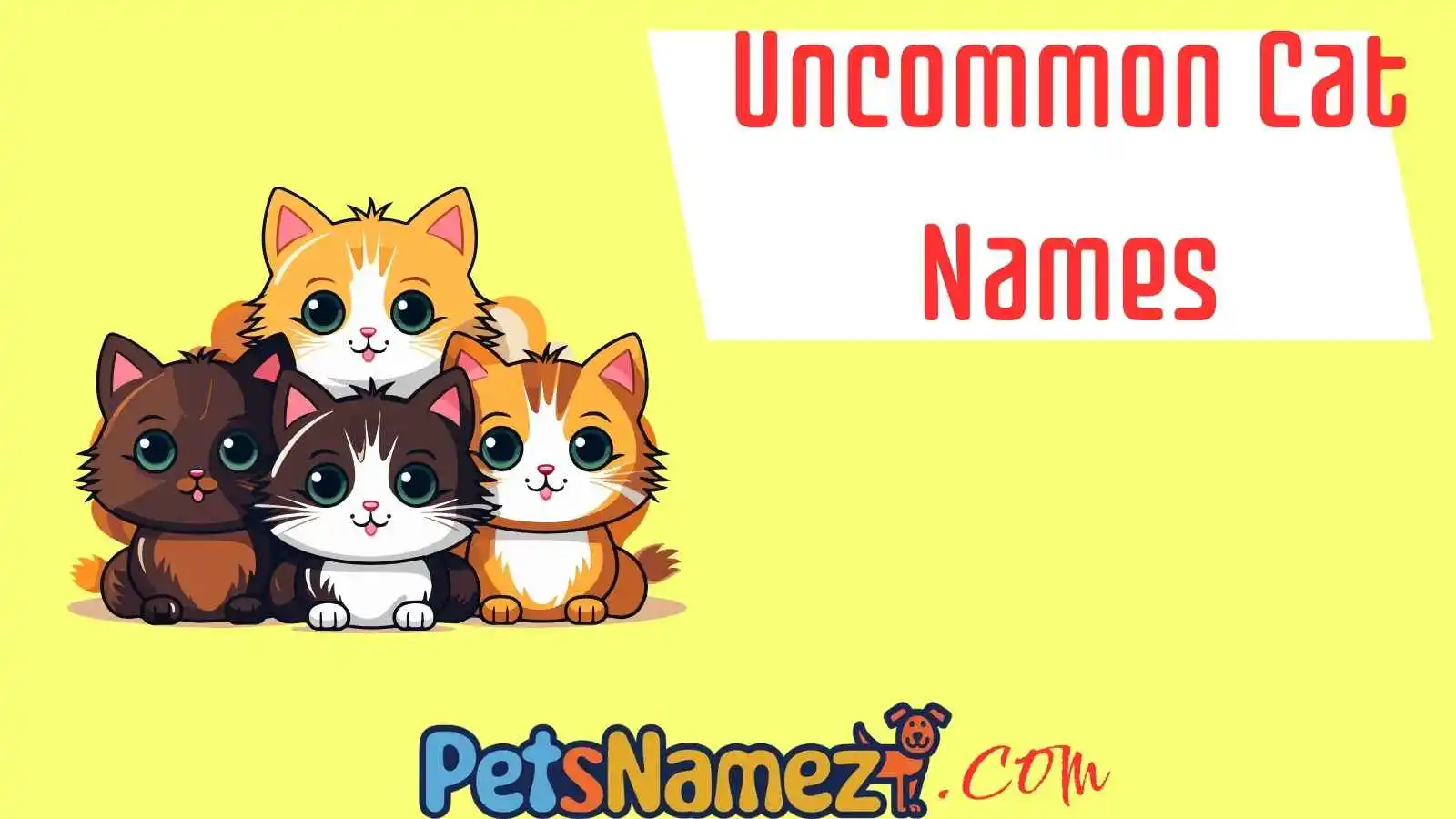 Uncommon Cat Names